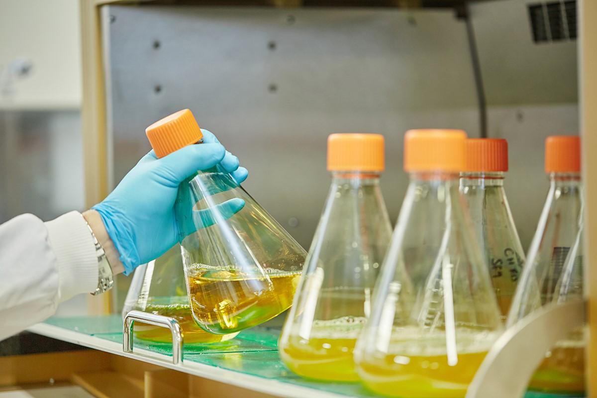 Protein Science Protein Expression Services Domainex